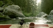 Фотография из фильма Букашки. Приключение в Долине муравьев