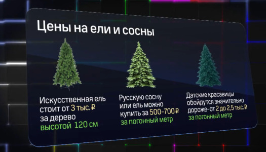 Сколько стоят ели. Елочные базары Люберцы. Новогодние базары в Люберцах. Елочные базары в Люберцах 2020. Искусственные елки базар в Люберцах.