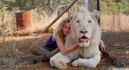 Фотография из фильма Миа и белый лев