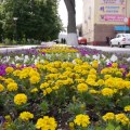 Люберцы засаживают цветами