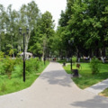 Обновление Томилинского лесопарка обойдется в несколько миллионов рублей