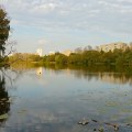 Пехорку будут чистить в рамках партийного проекта