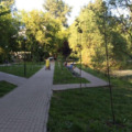 Новый сад до конца года появится у Ухтомского пруда