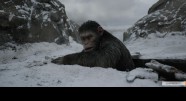 Фотография из фильма Планета обезьян: Война