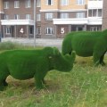 Слоны и носороги установлены во дворе на ул. Дружбы