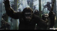 Фотография из фильма Планета обезьян: Революция