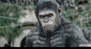 Фотография из фильма Планета обезьян: Революция